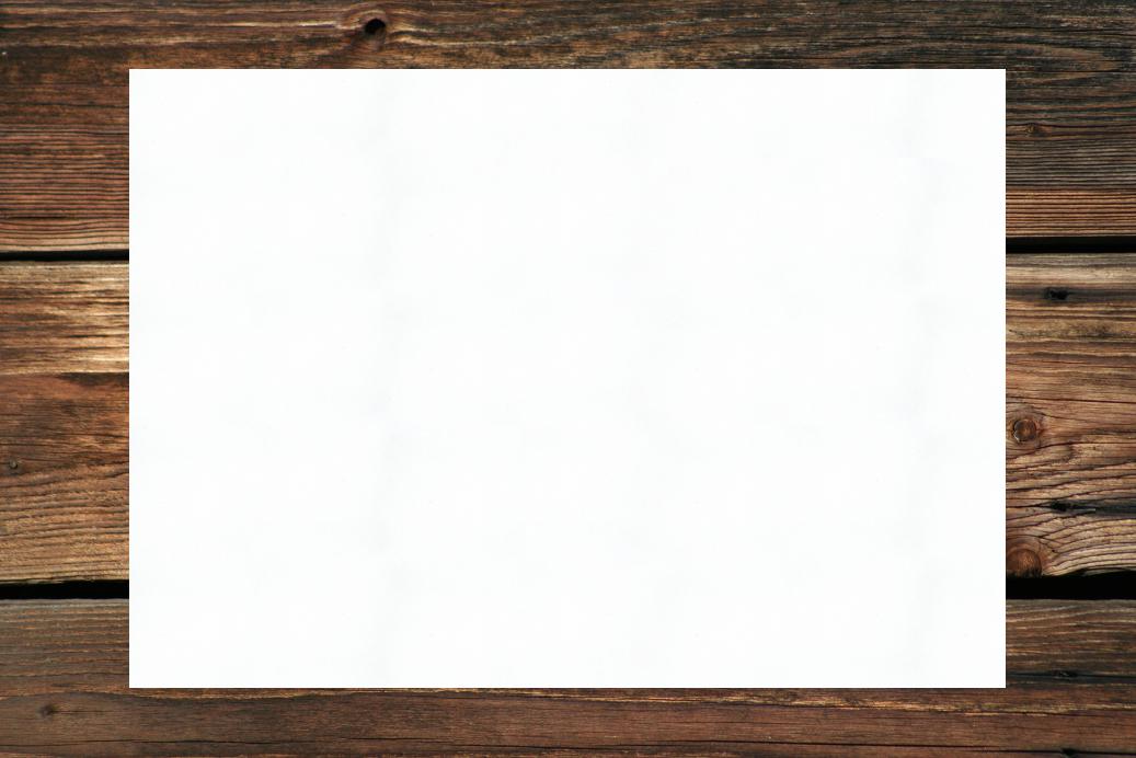 Einzelkarten 55x95 mm Naturweiß 230 g/qm
